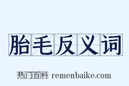 胎毛反义词是什么意思的图片